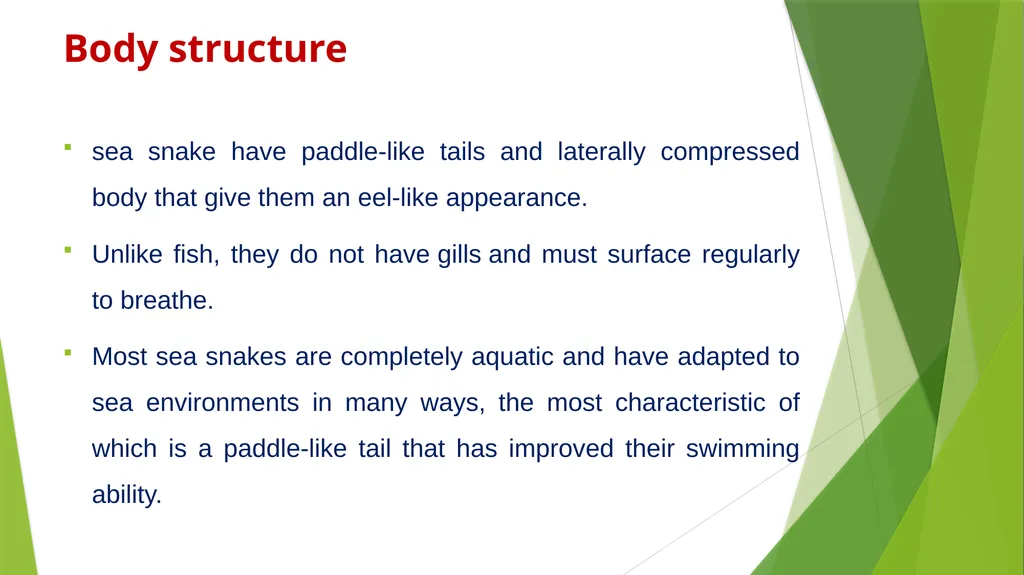 Aquatic specimens adaptations Hydrophis Habitat / - slide 7 of 16