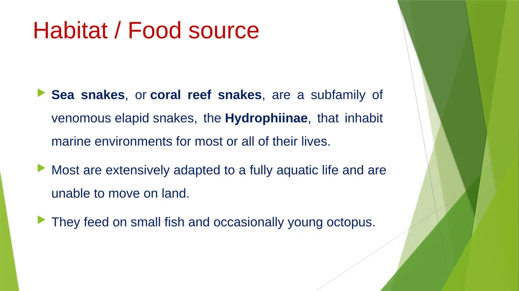 Aquatic specimens adaptations Hydrophis Habitat / - slide 3 of 16