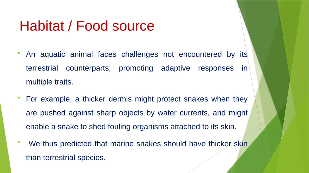 Aquatic specimens adaptations Hydrophis Habitat / - slide 5 of 16