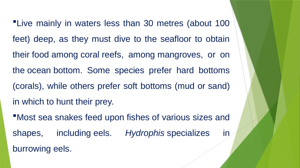 Aquatic specimens adaptations Hydrophis Habitat / - slide 6 of 16