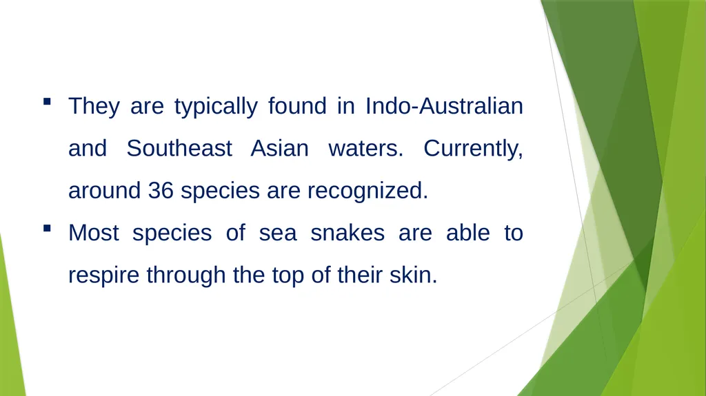 Aquatic specimens adaptations Hydrophis Habitat / - slide 4 of 16