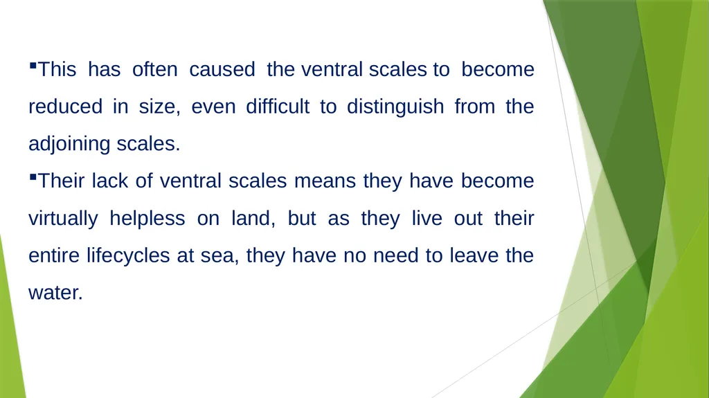 Aquatic specimens adaptations Hydrophis Habitat / - slide 8 of 16
