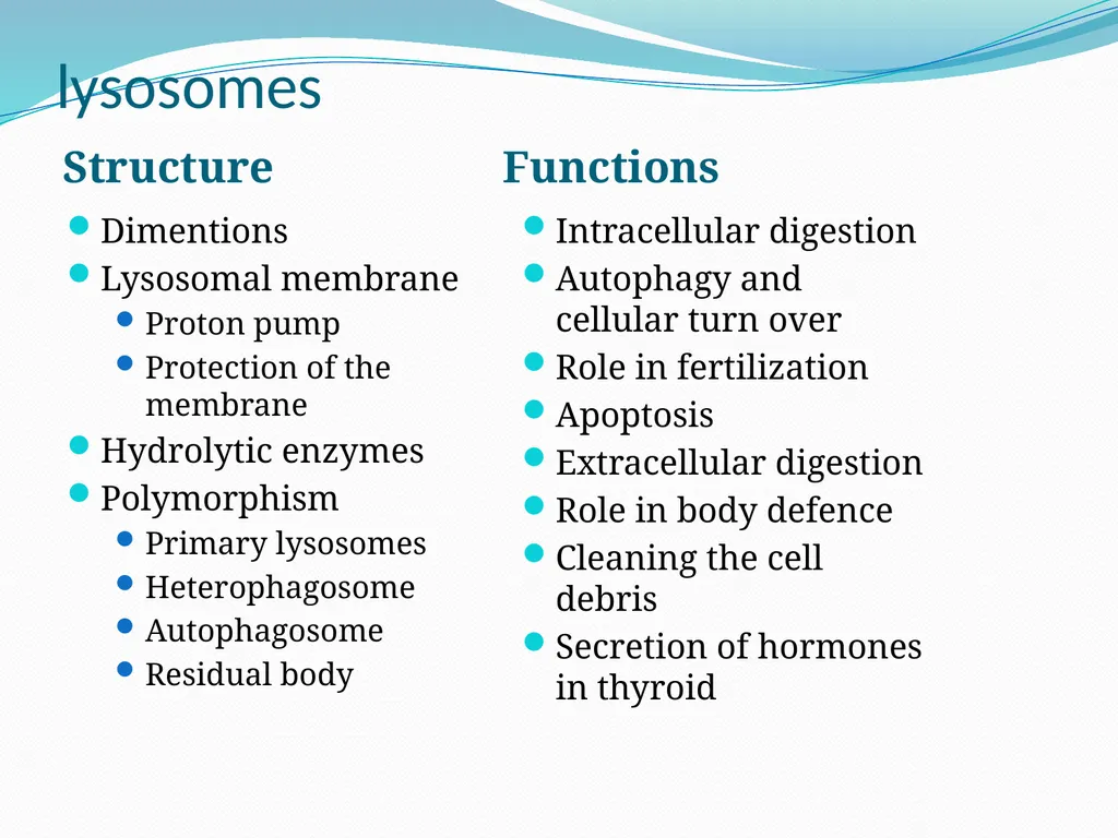 Workshop on revised Syllabus of B.Sc.I DSC-15b - slide 12 of 17