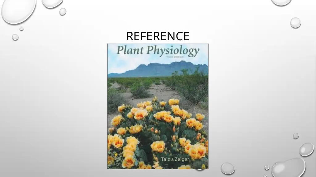 King Saud University Faculty of Science , Botany - slide 8 of 8