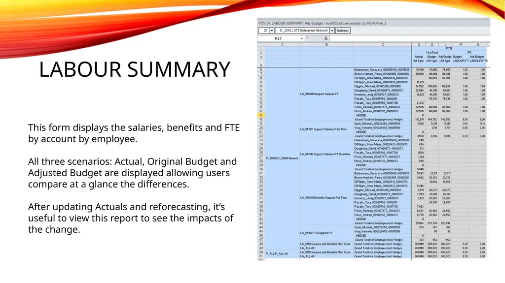 Adjusted Budget Preface – What is a Scenario in - slide 19 of 22