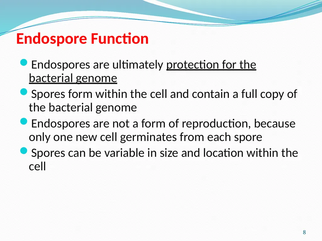 Bacterial Spores (endospore) 1- This machine named - slide 8 of 19