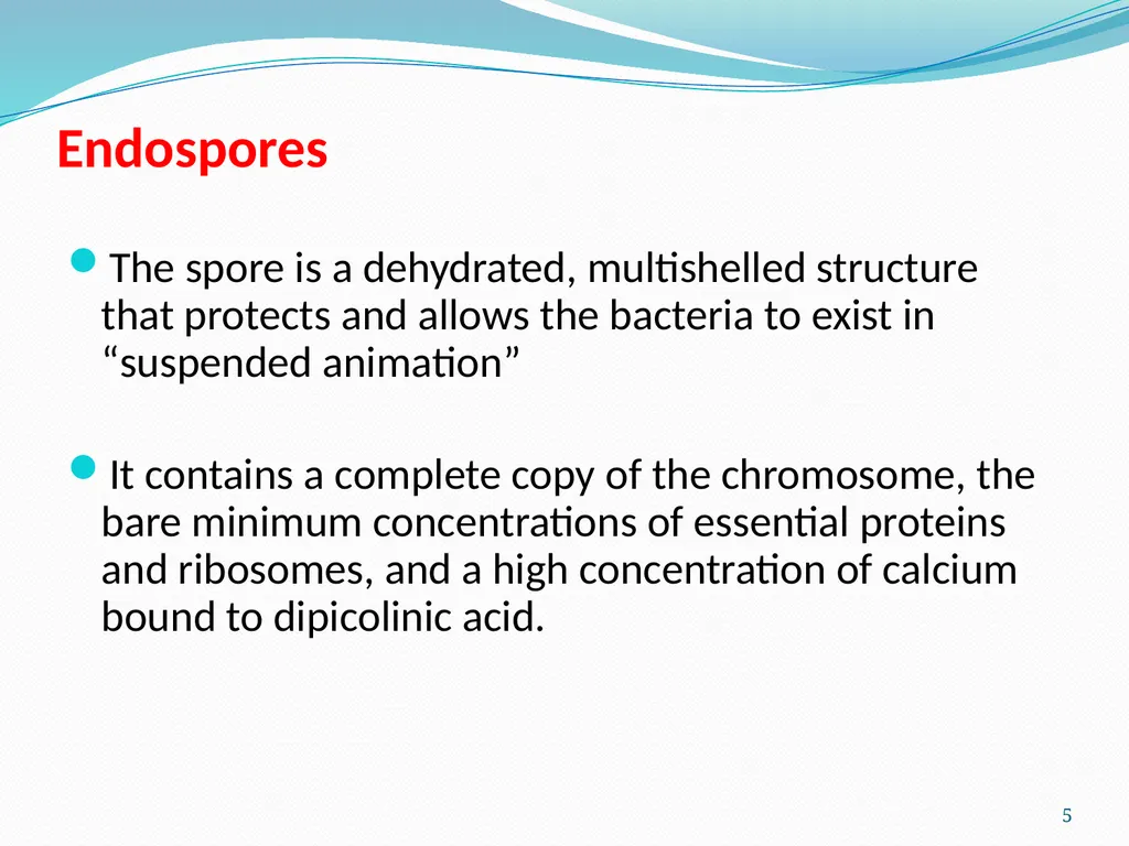 Bacterial Spores (endospore) 1- This machine named - slide 5 of 19