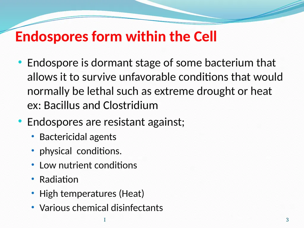 Bacterial Spores (endospore) 1- This machine named - slide 3 of 19