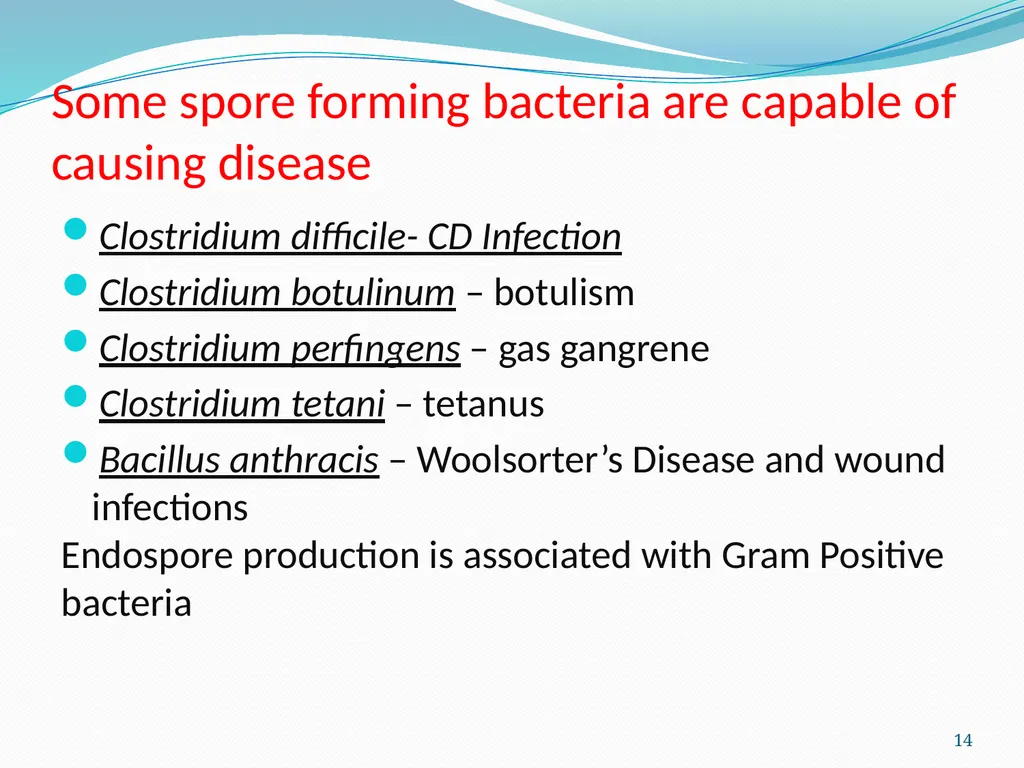 Bacterial Spores (endospore) 1- This machine named - slide 14 of 19