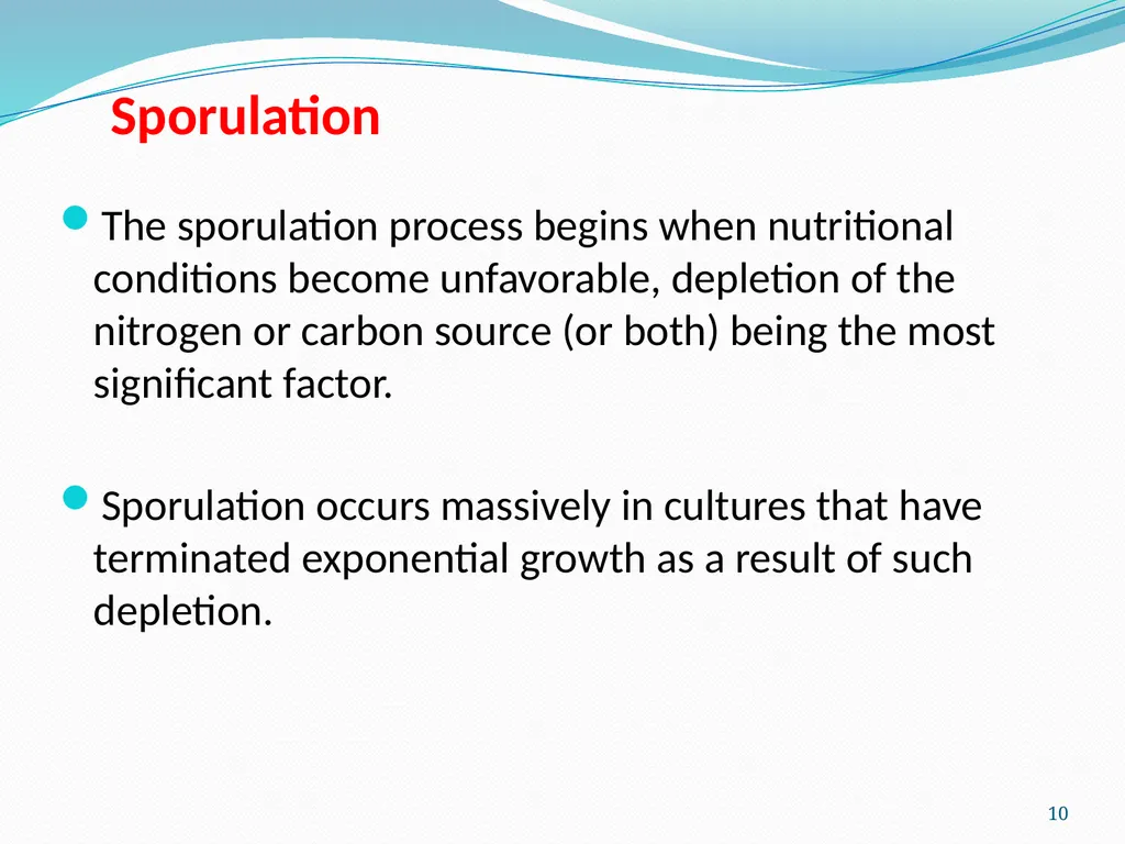 Bacterial Spores (endospore) 1- This machine named - slide 10 of 19