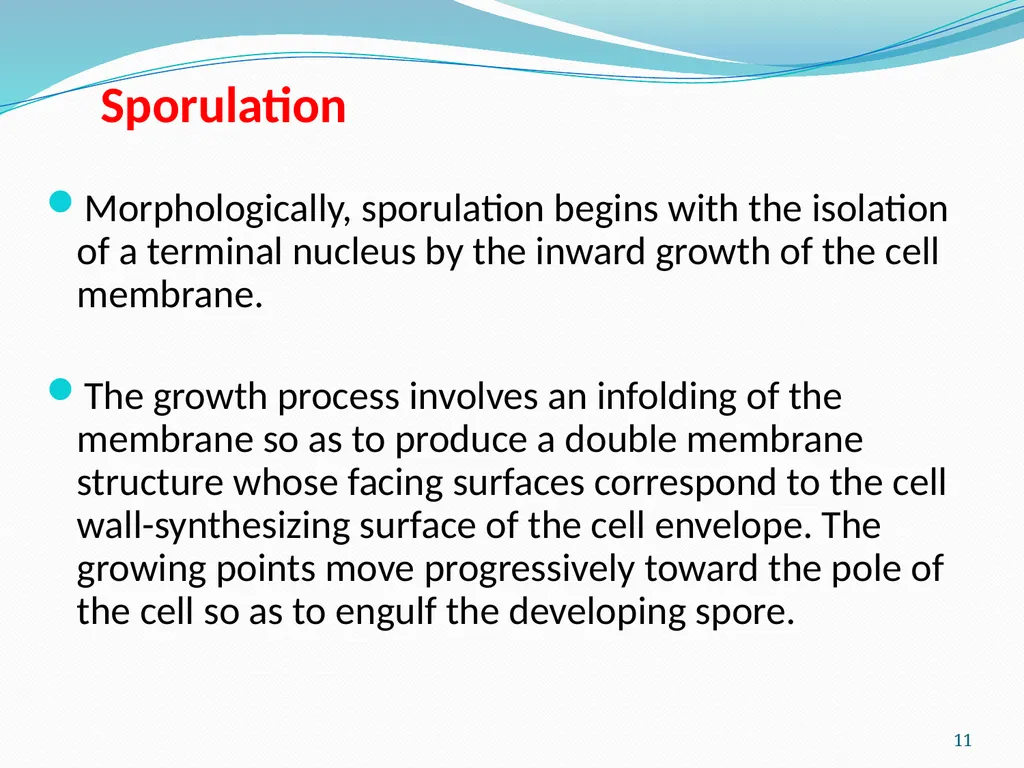 Bacterial Spores (endospore) 1- This machine named - slide 11 of 19
