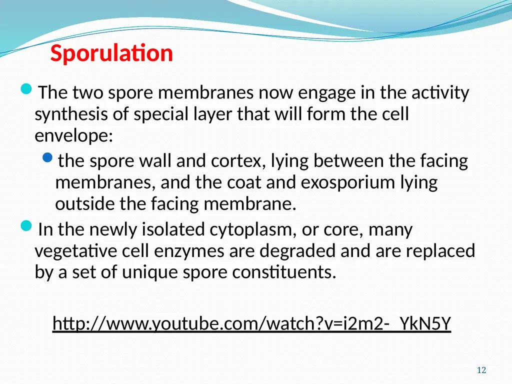 Bacterial Spores (endospore) 1- This machine named - slide 12 of 19