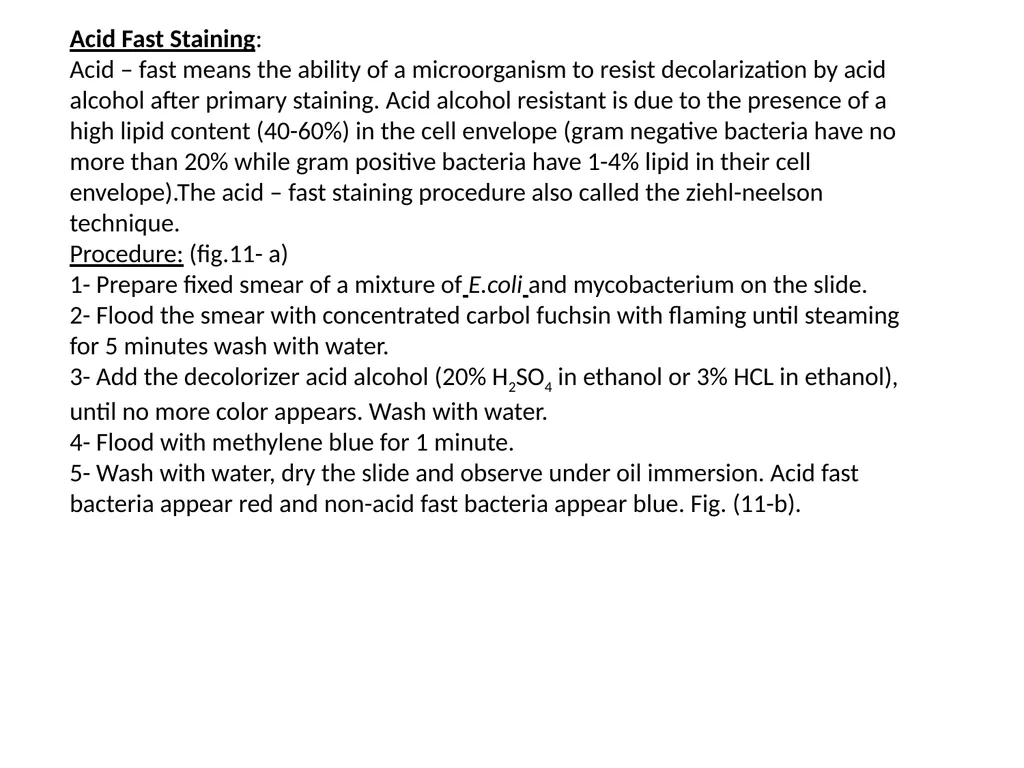 Spore Stain: Spores represent a chemically and - slide 3 of 6