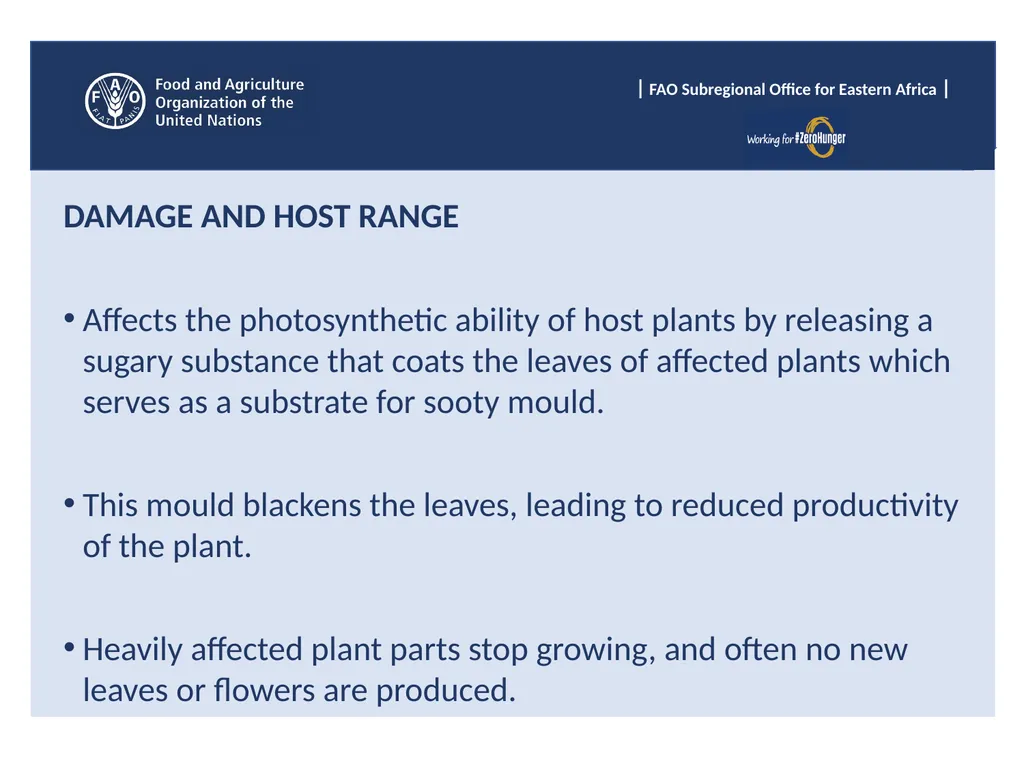 Sub Regional Office for Eastern Africa (SFE), Food - slide 6 of 22