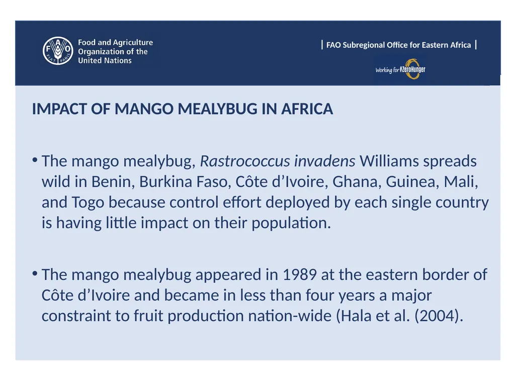 Sub Regional Office for Eastern Africa (SFE), Food - slide 9 of 22