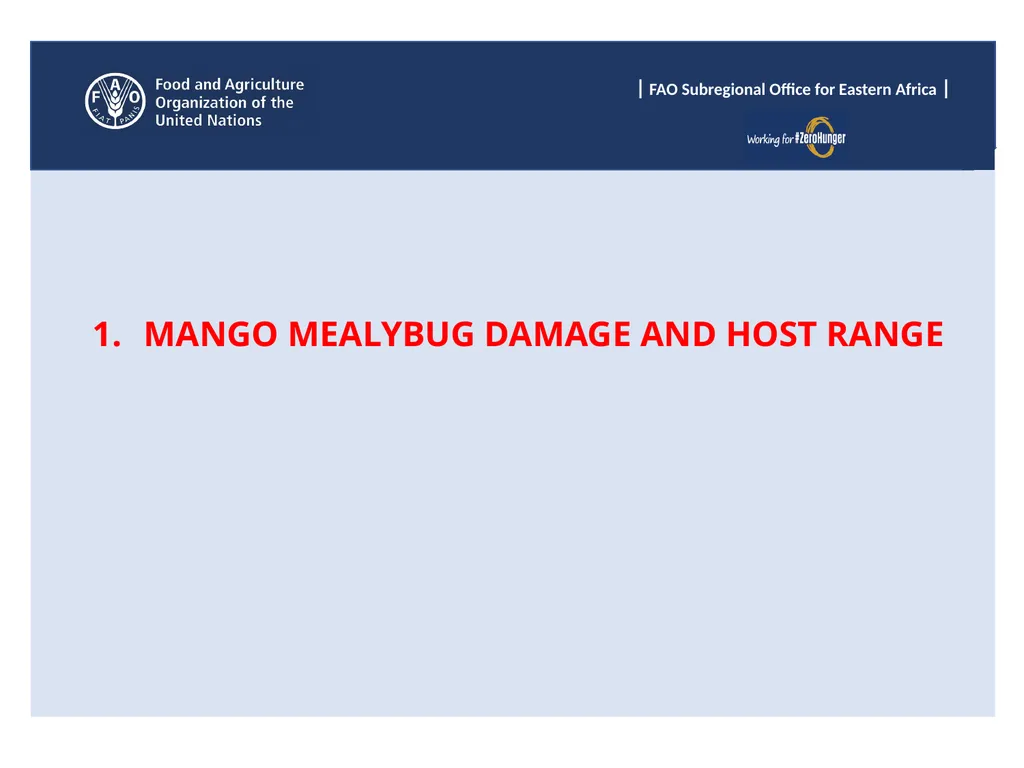 Sub Regional Office for Eastern Africa (SFE), Food - slide 3 of 22