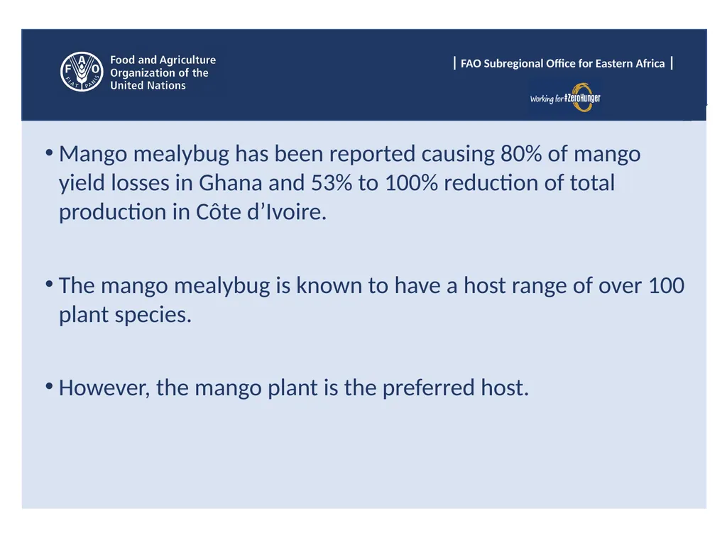 Sub Regional Office for Eastern Africa (SFE), Food - slide 7 of 22