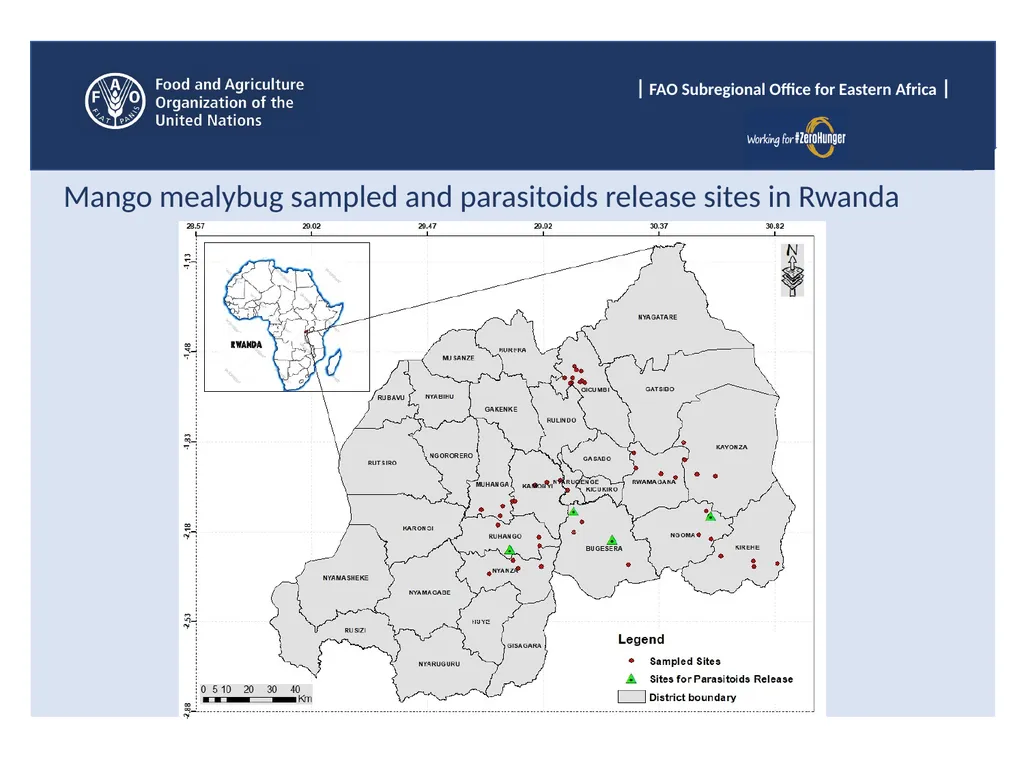 Sub Regional Office for Eastern Africa (SFE), Food - slide 13 of 22