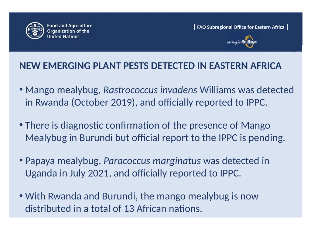 Sub Regional Office for Eastern Africa (SFE), Food - slide 11 of 22