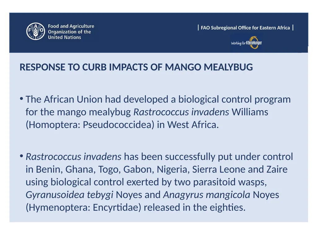 Sub Regional Office for Eastern Africa (SFE), Food - slide 15 of 22
