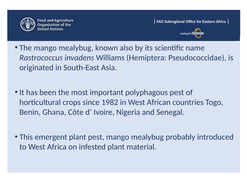 Sub Regional Office for Eastern Africa (SFE), Food - slide 5 of 22