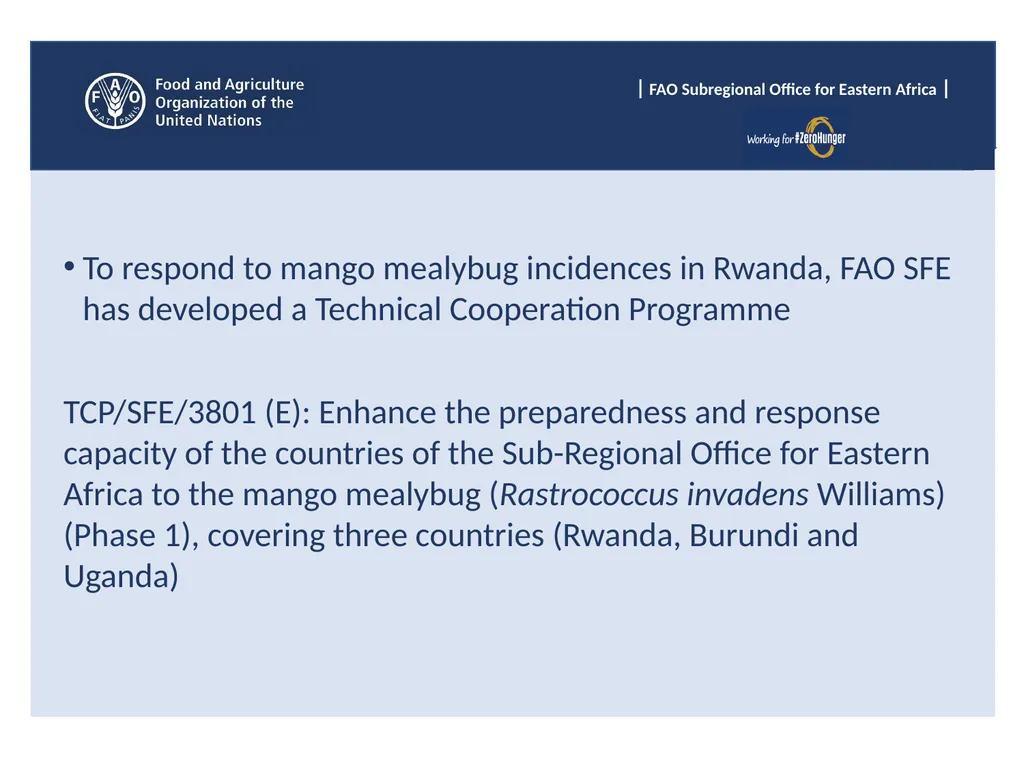 Sub Regional Office for Eastern Africa (SFE), Food - slide 17 of 22