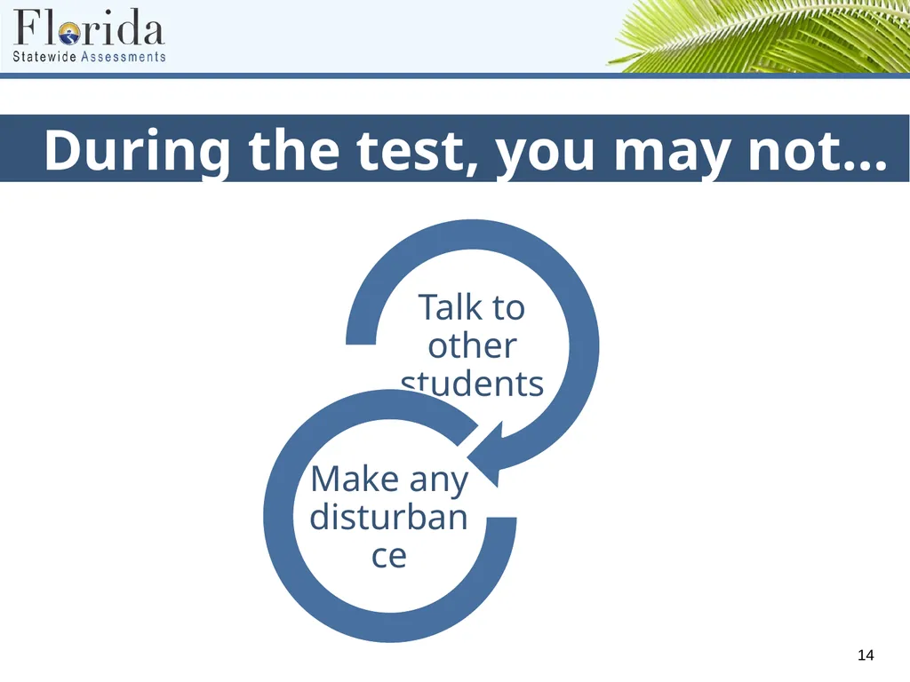 Testing Rules for Computer-Based FSA, NGSSS, and - slide 14 of 19