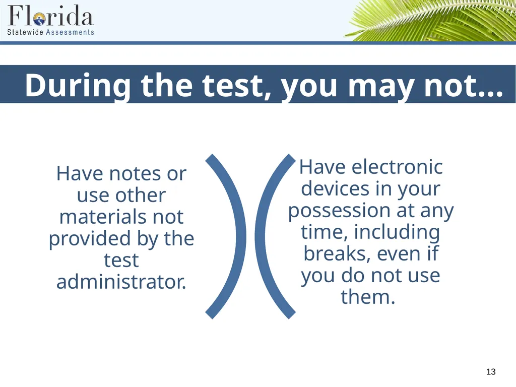 Testing Rules for Computer-Based FSA, NGSSS, and - slide 13 of 19