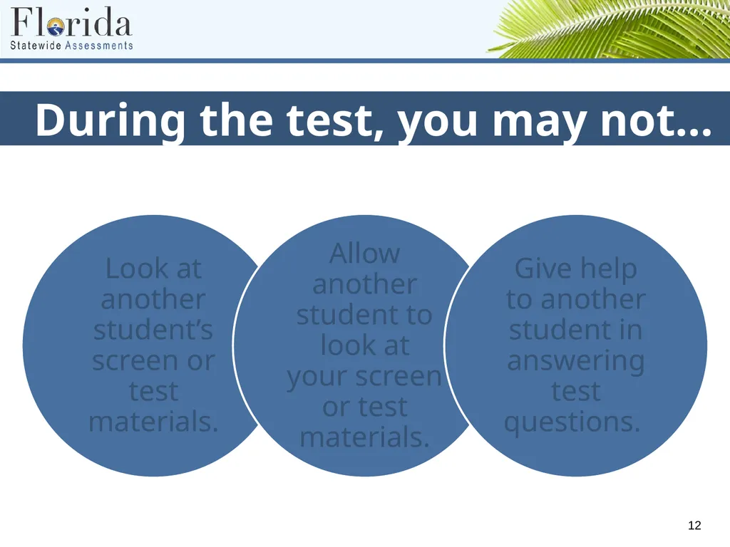Testing Rules for Computer-Based FSA, NGSSS, and - slide 12 of 19