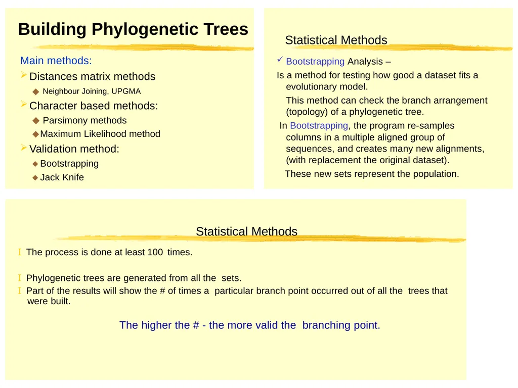 Phylogenetic Analysis Introduction to Phylogenetic - slide 8 of 12