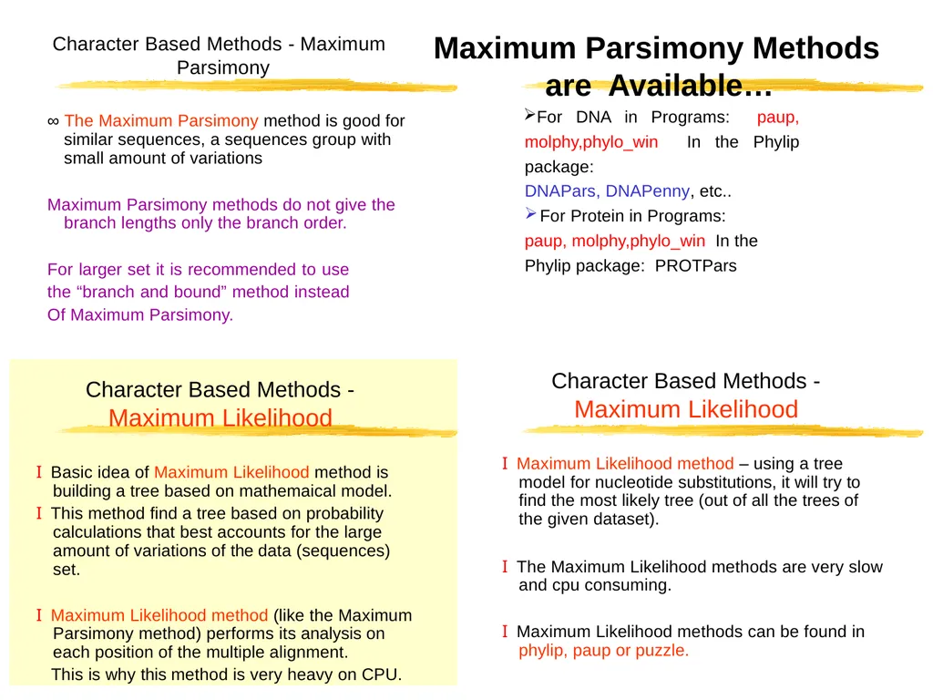Phylogenetic Analysis Introduction to Phylogenetic - slide 10 of 12