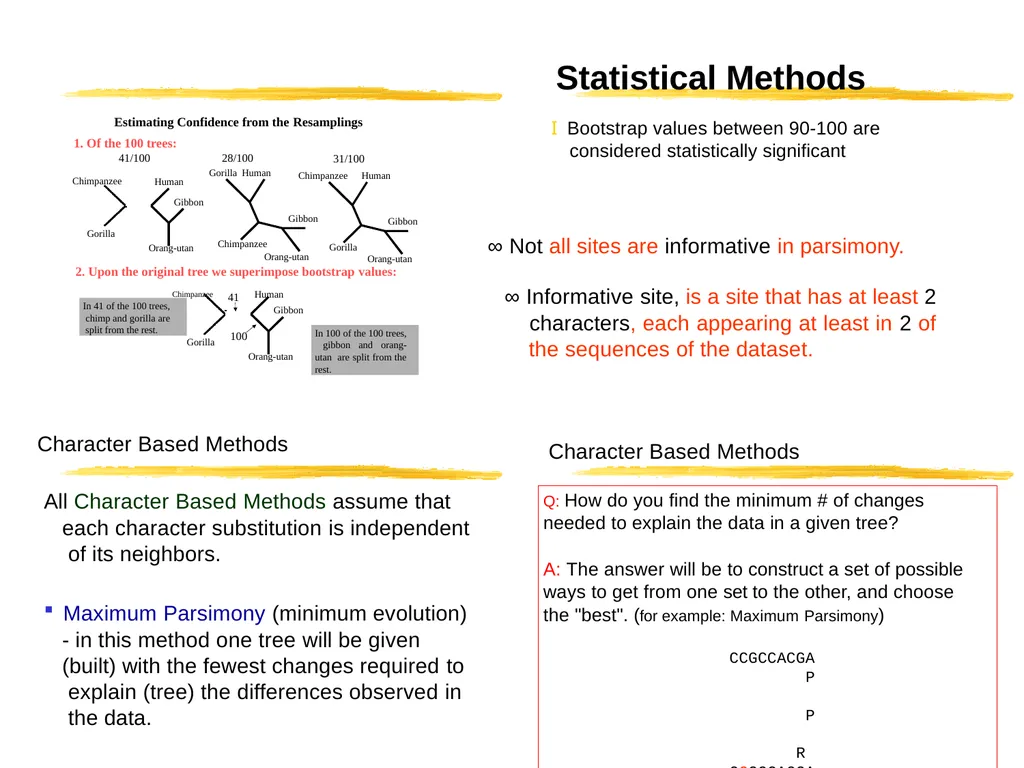 Phylogenetic Analysis Introduction to Phylogenetic - slide 9 of 12
