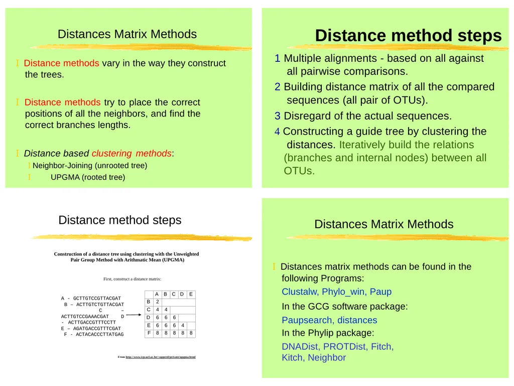 Phylogenetic Analysis Introduction to Phylogenetic - slide 12 of 12