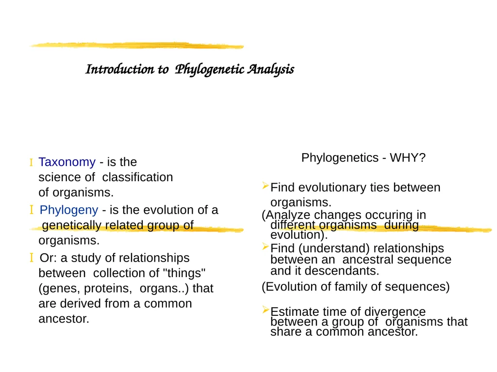 Phylogenetic Analysis Introduction to Phylogenetic - slide 2 of 12