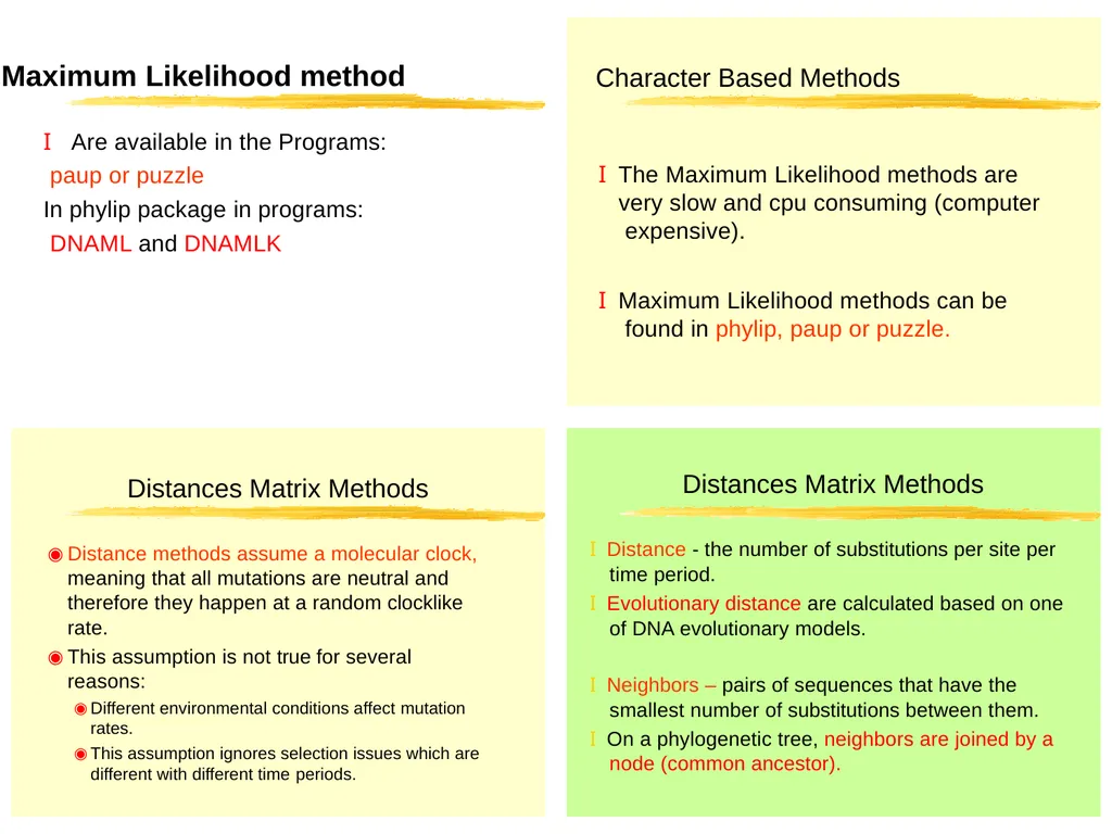 Phylogenetic Analysis Introduction to Phylogenetic - slide 11 of 12