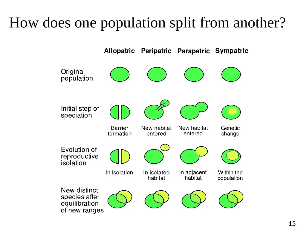 Blood Suckers! A Case Study on Evolution and - slide 15 of 33