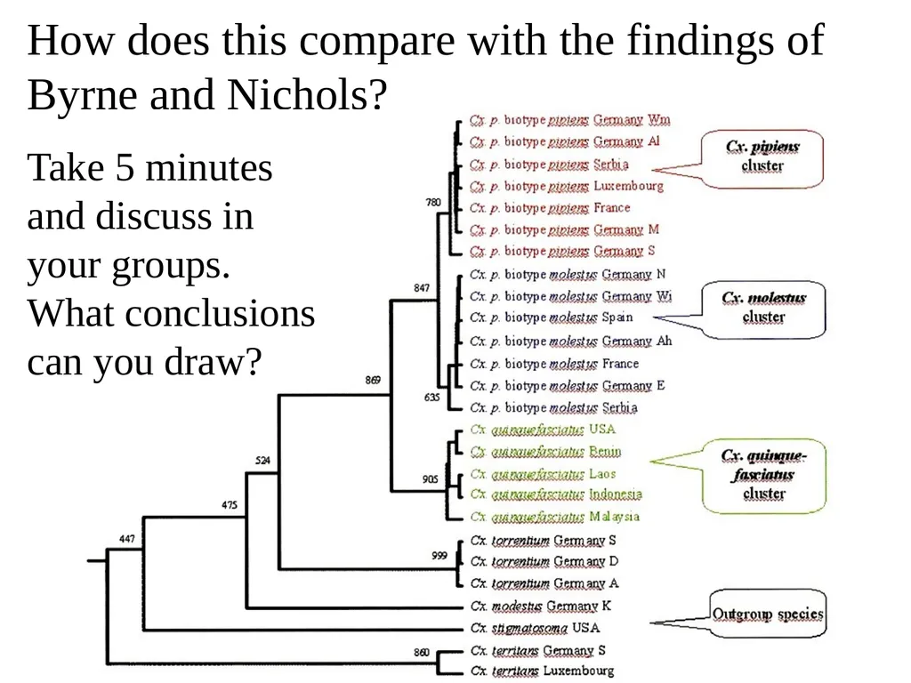 Blood Suckers! A Case Study on Evolution and - slide 28 of 33