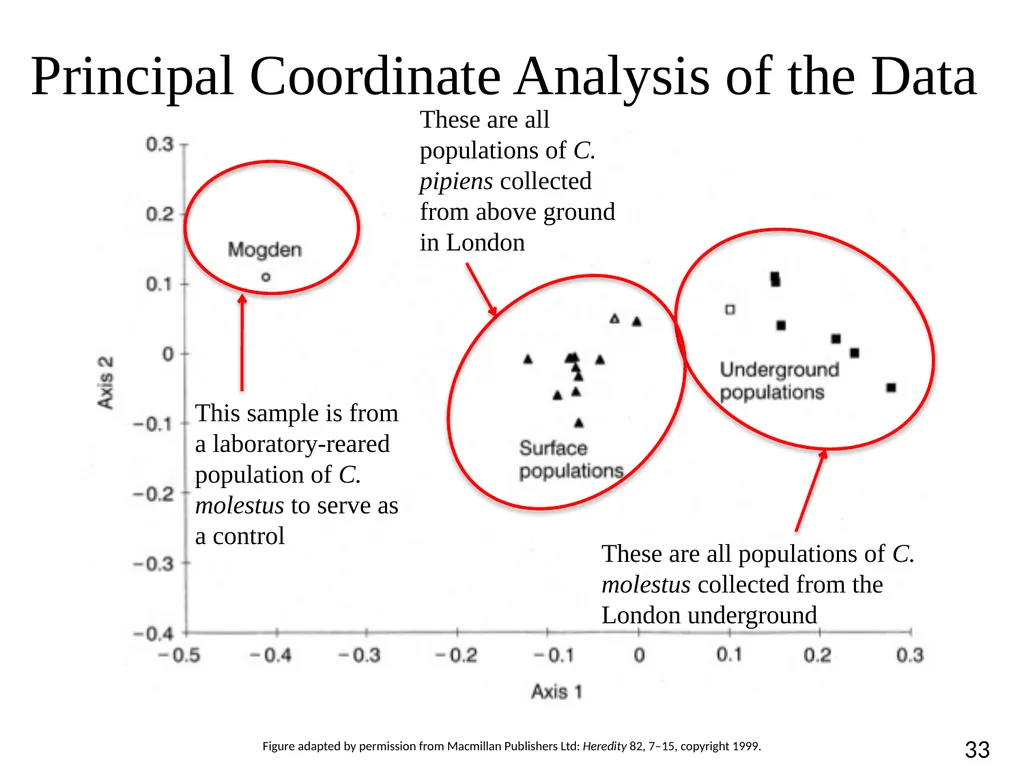 Blood Suckers! A Case Study on Evolution and - slide 33 of 33