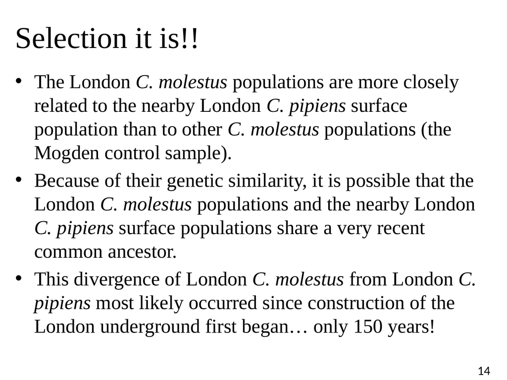 Blood Suckers! A Case Study on Evolution and - slide 14 of 33
