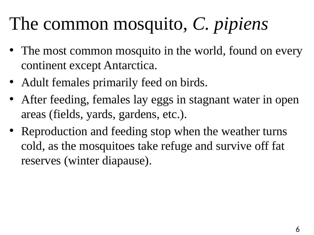 Blood Suckers! A Case Study on Evolution and - slide 6 of 33