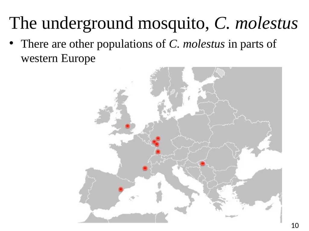 Blood Suckers! A Case Study on Evolution and - slide 10 of 33