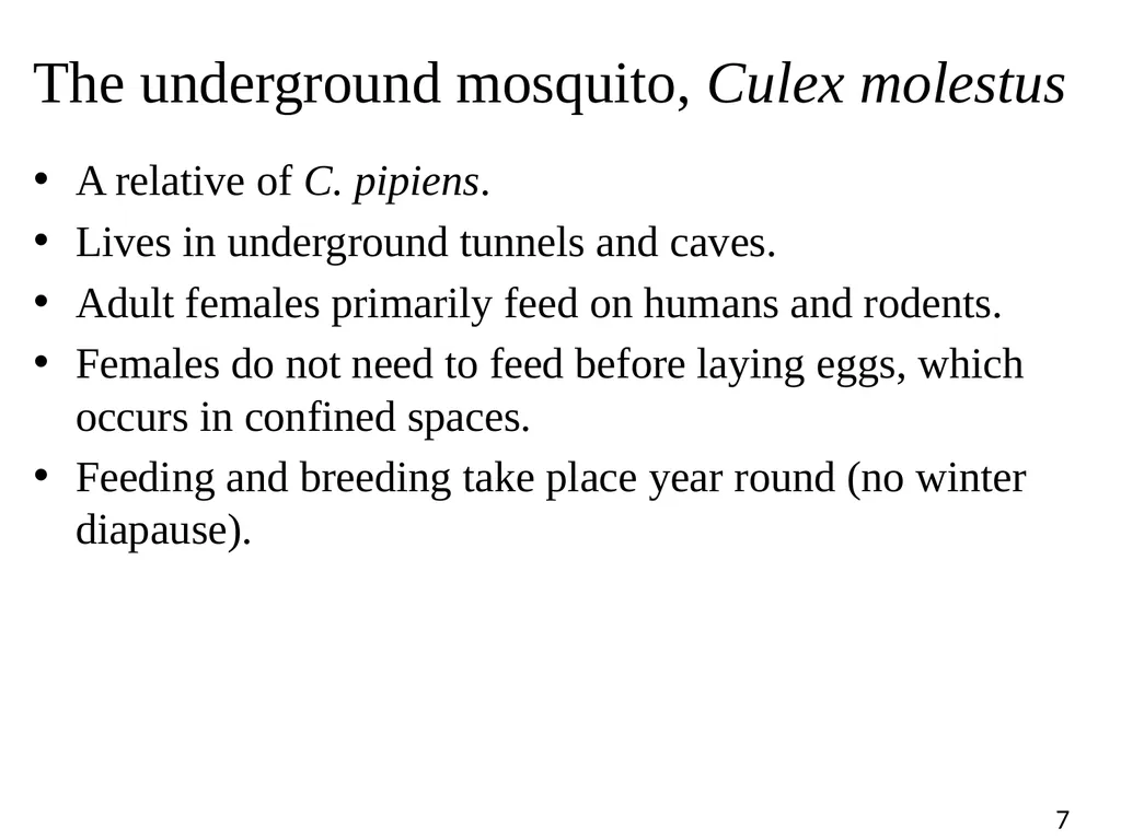 Blood Suckers! A Case Study on Evolution and - slide 7 of 33