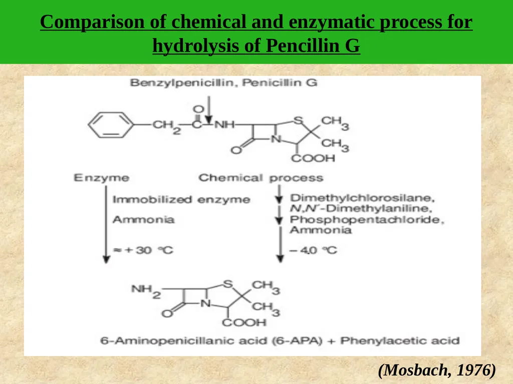 Enzyme Immobilization : A technique for Industrial - slide 31 of 34
