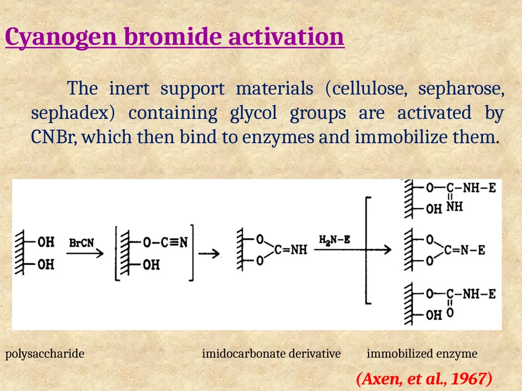 Enzyme Immobilization : A technique for Industrial - slide 13 of 34