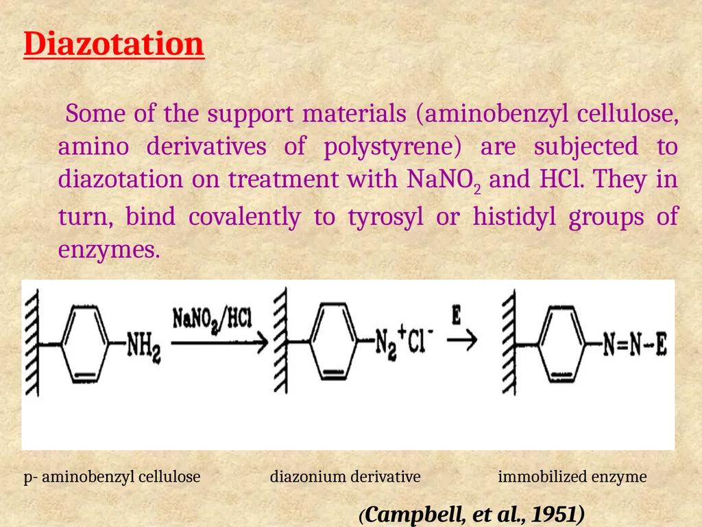 Enzyme Immobilization : A technique for Industrial - slide 14 of 34