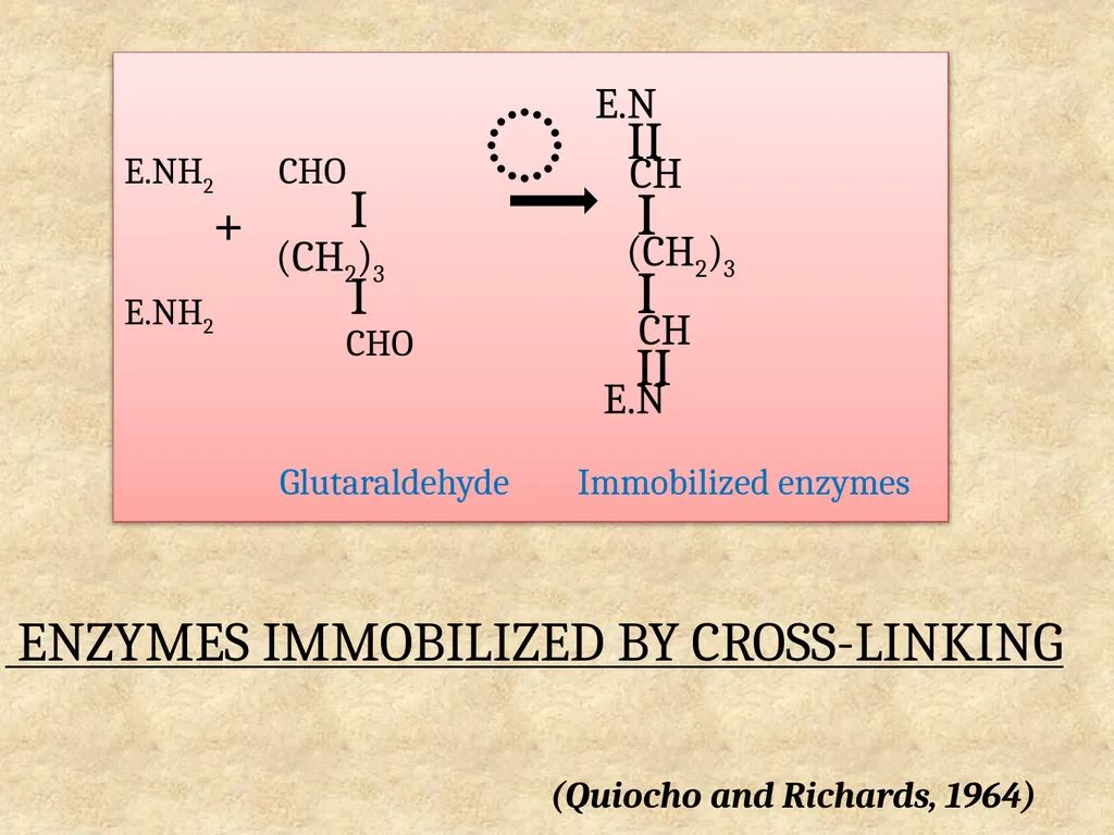 Enzyme Immobilization : A technique for Industrial - slide 20 of 34