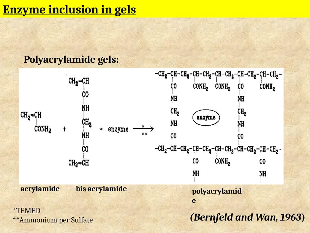 Enzyme Immobilization : A technique for Industrial - slide 17 of 34