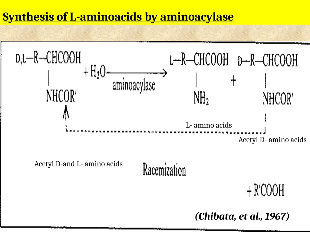 Enzyme Immobilization : A technique for Industrial - slide 25 of 34