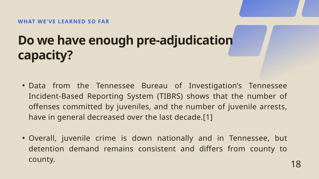 Juvenile Detention Challenges in Tennessee - slide 18 of 24