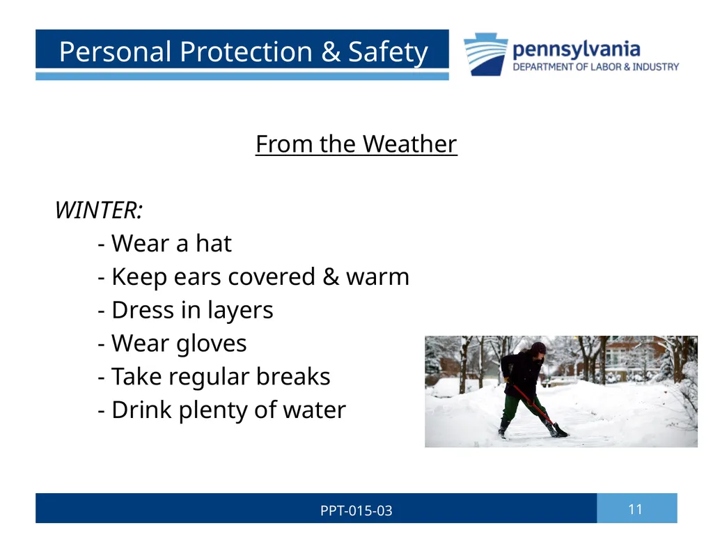 GROUNDSKEEPING SAFETY 1 PPT-015-03 Bureau of - slide 11 of 35